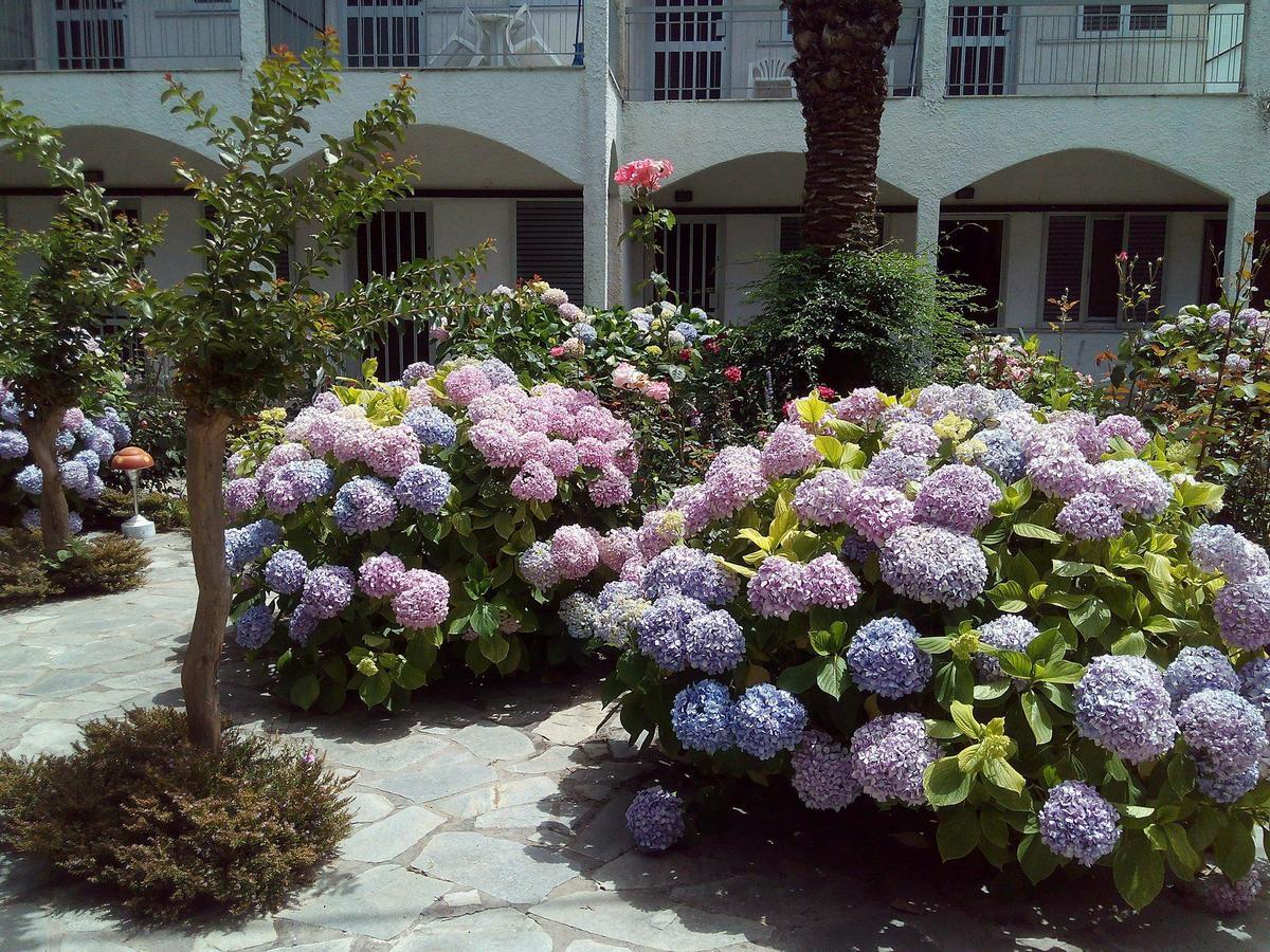 Margarita Apartments Preveza Exterior photo